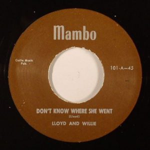 Lloyd And Willie - Don't Know Where She Went / Potato Stomp