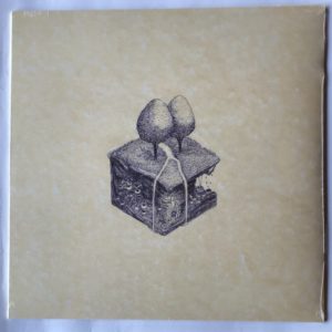 Kiran Leonard - Western Culture