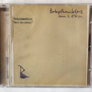 Babyshambles - Down In Albion